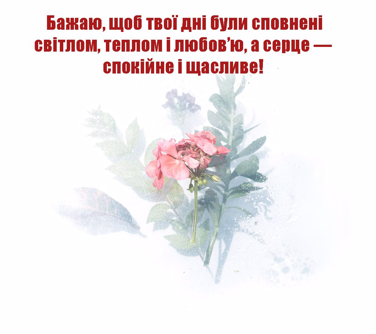 День ангела Дмитрия 2024: оригинальные поздравления своими словами и невероятные картинки к празднику - фото 649451