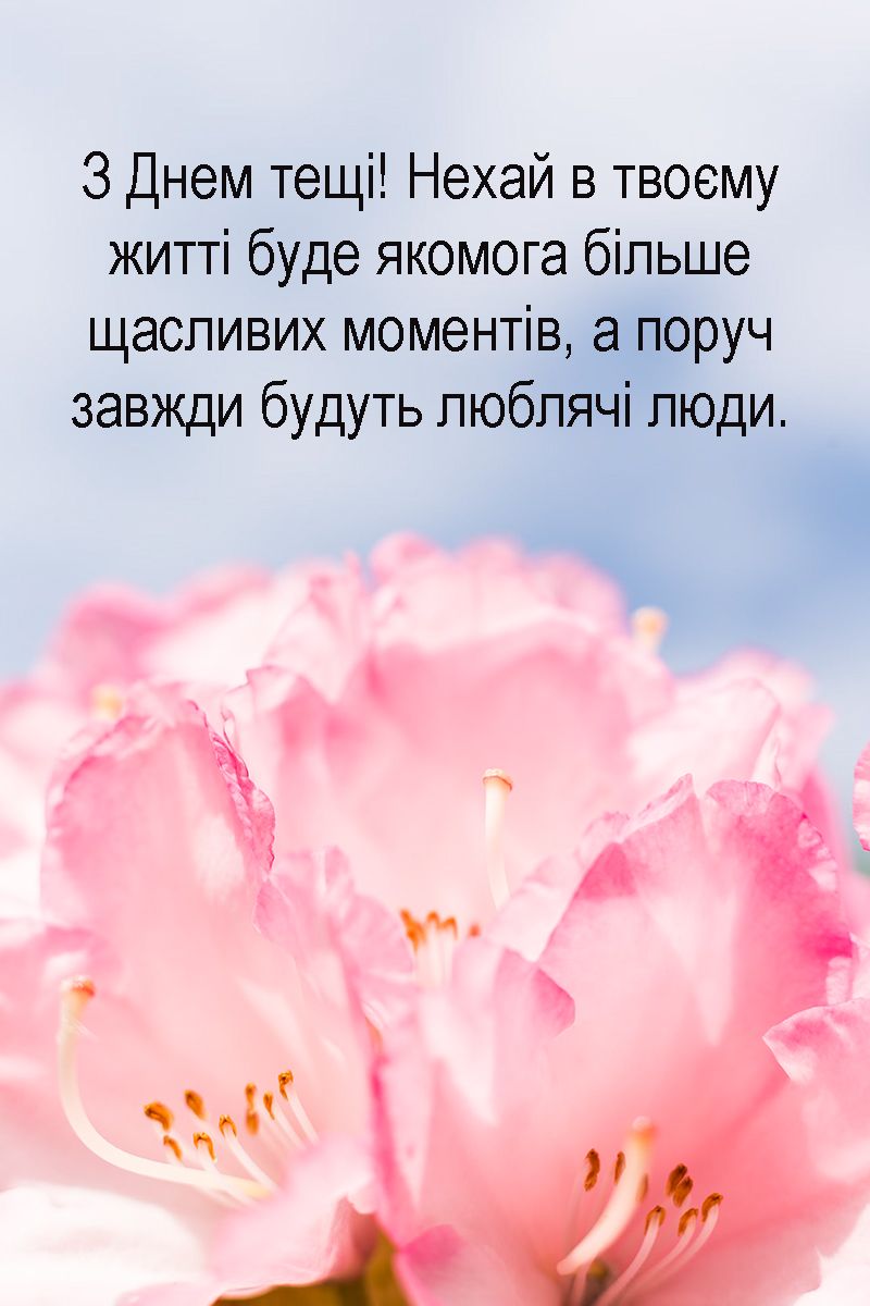 Необычные поздравления с Днем свекрови и тещи 2024: красивые картинки на украинском и искренняя проза - 649484 Необычные поздравления с Днем свекрови и тещи 2024: красивые картинки на украинском и искренняя проза - фото 649484