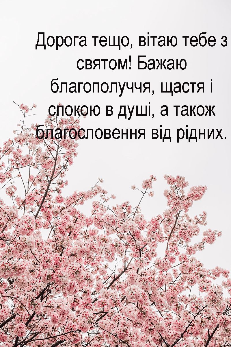 Необычные поздравления с Днем свекрови и тещи 2024: красивые картинки на украинском и искренняя проза - 649494 Необычные поздравления с Днем свекрови и тещи 2024: красивые картинки на украинском и искренняя проза - фото 649494