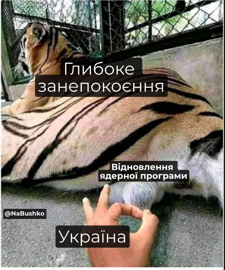 Ядерна зброя за 2-3 тижні: у мережі відреагували мемами на заяву журналістів Bild - 649875 Ядерна зброя за 2-3 тижні: у мережі відреагували мемами на заяву журналістів Bild - фото 649875