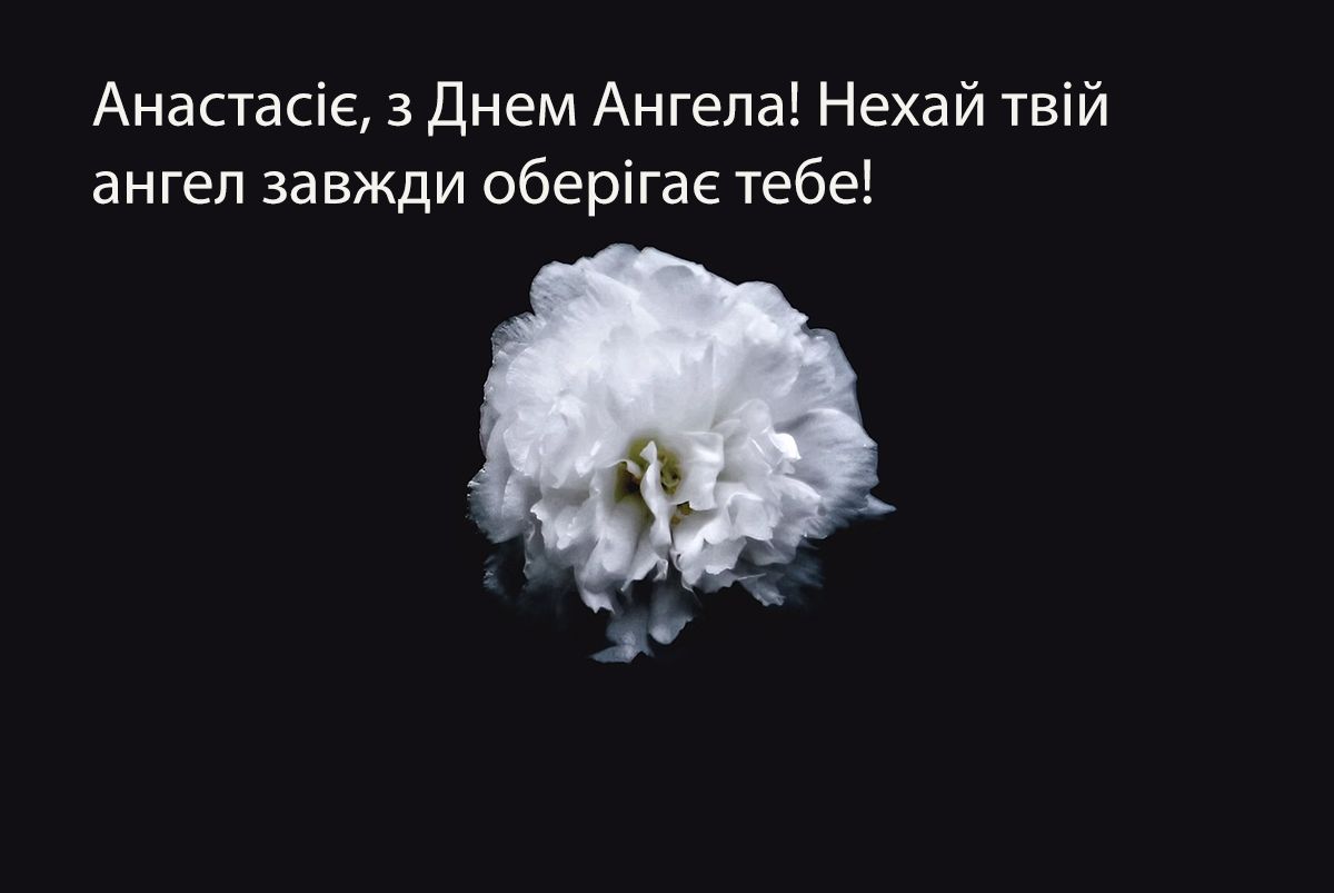 Особенные поздравления с Днем ангела Анастасии 2024: милая проза и красивые картинки на украинском - 650275 Особенные поздравления с Днем ангела Анастасии 2024: милая проза и красивые картинки на украинском - фото 650275