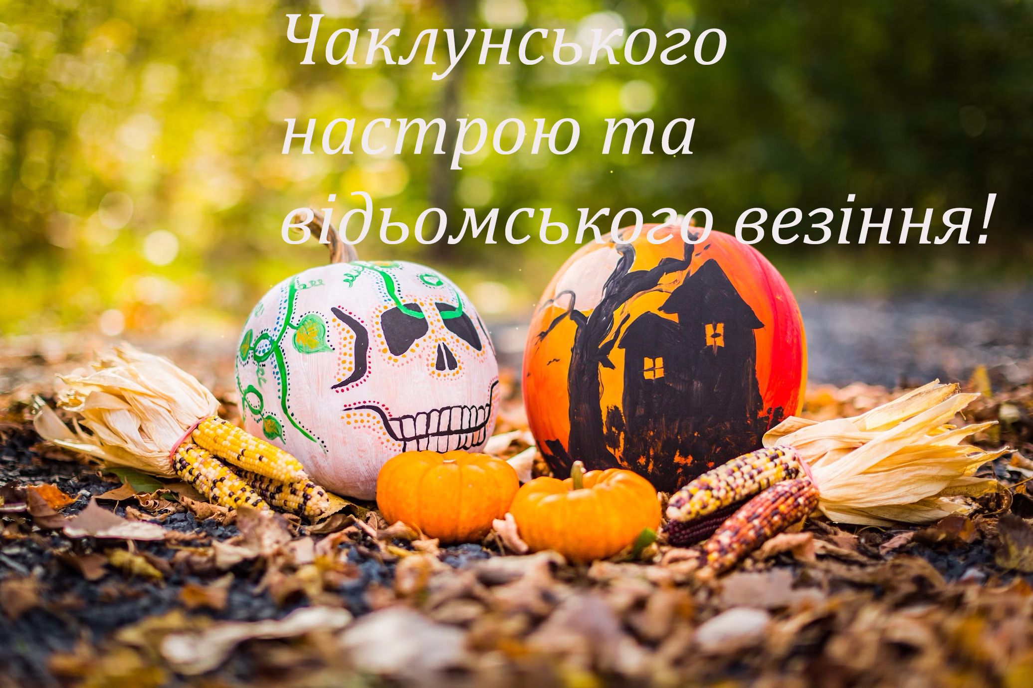 прикольні картинки з Хеловіном 2024 - фото 650727