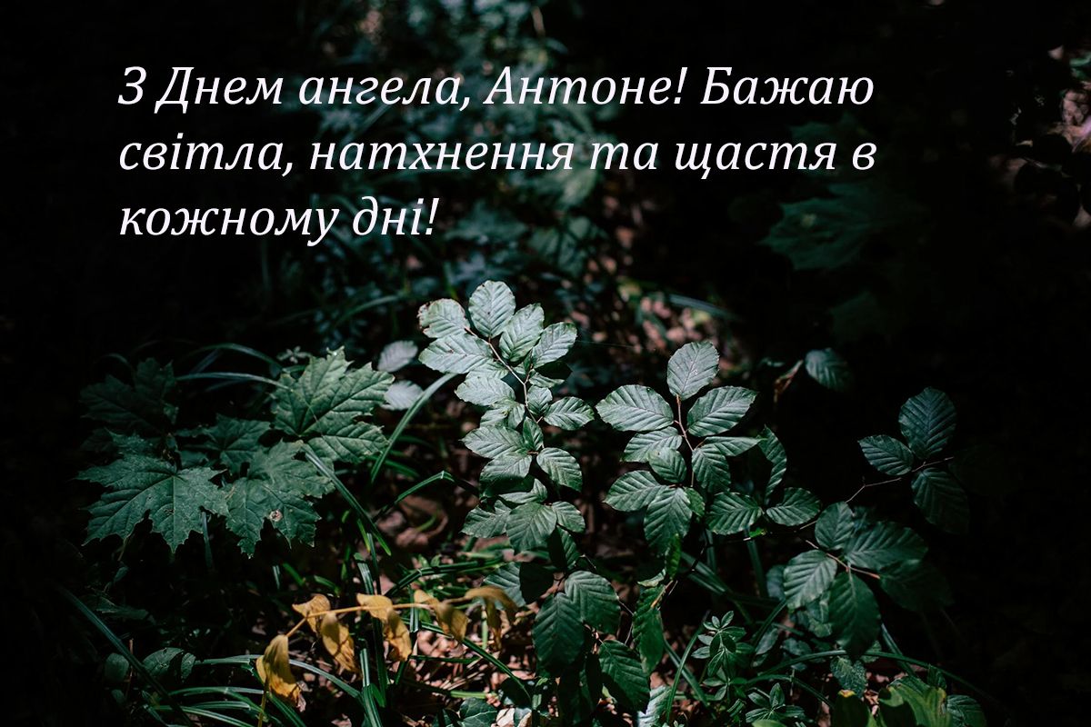 привітання з днем ангела Антона - фото 652935