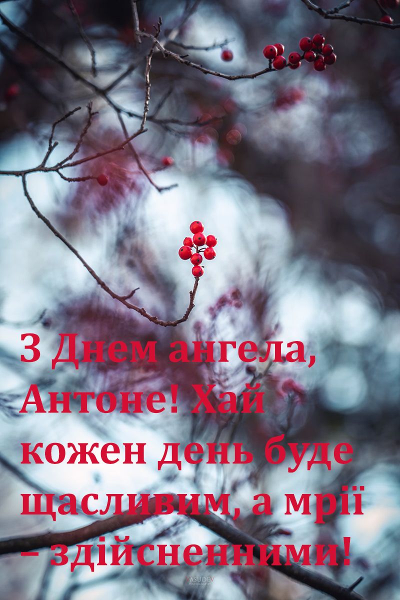 іменини Антона 2024 - фото 652937