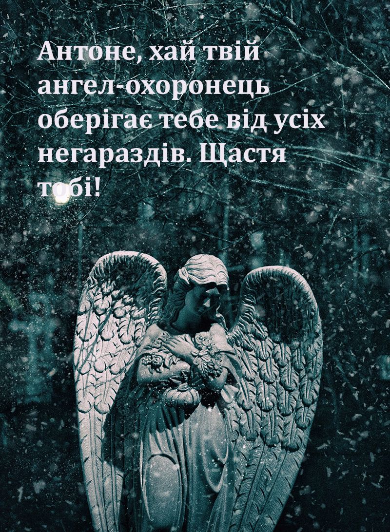 день ангела Антона 2024 - фото 652939