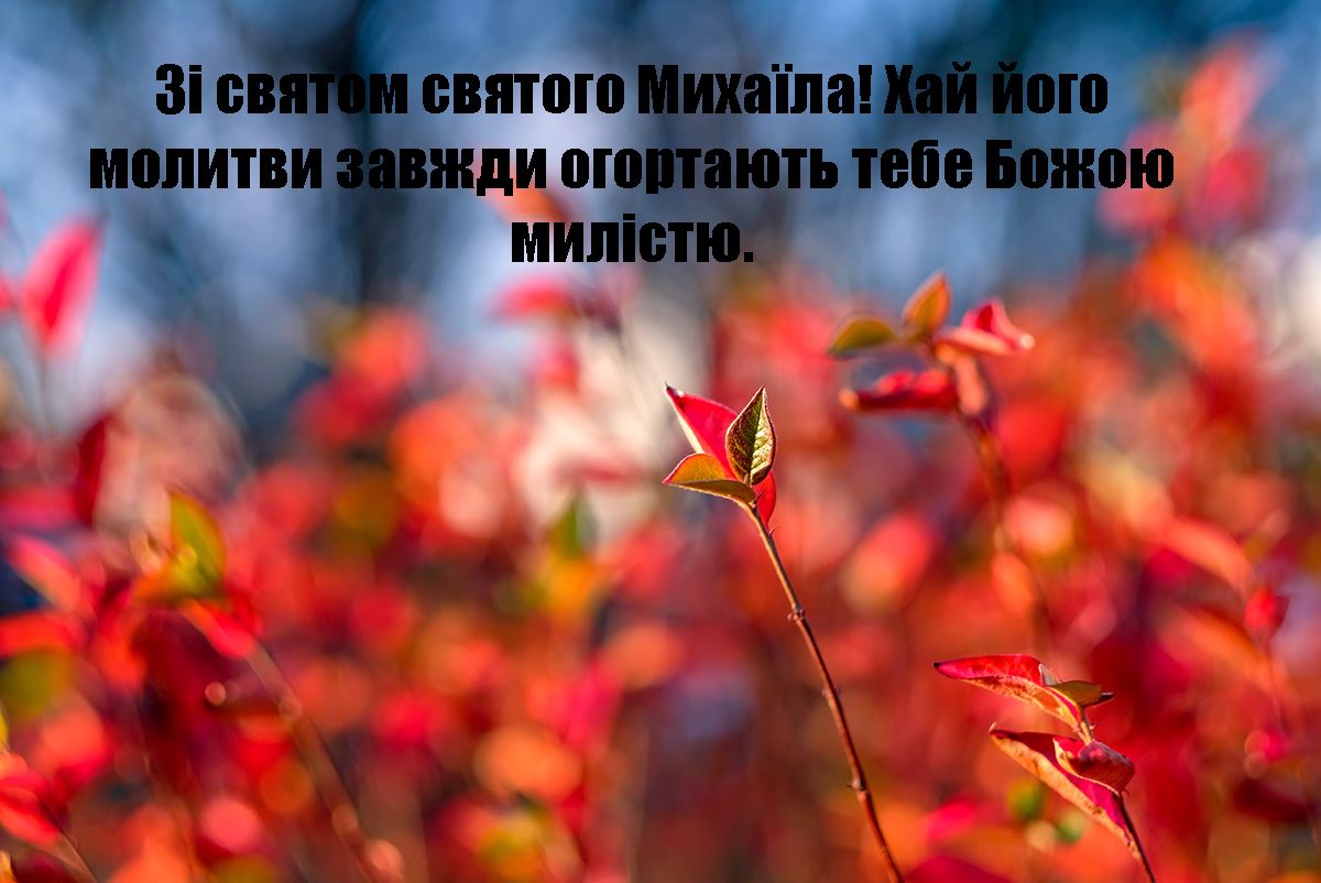 Михайла іменини 2024 - фото 653275