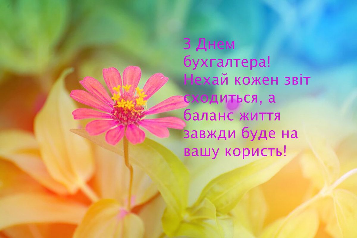 Тематические поздравления с Днем бухгалтера 2025 - картинки и красивая проза к празднику - 653875 Тематические поздравления с Днем бухгалтера 2025 - картинки и красивая проза к празднику - фото 653875