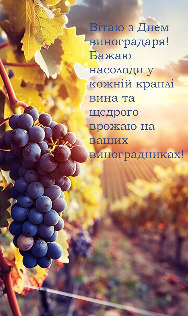 'Пьянящие' поздравления с Днем виноградаря и винодела 2024: красивые картинки и проза - 653899 'Пьянящие' поздравления с Днем виноградаря и винодела 2024: красивые картинки и проза - фото 653899