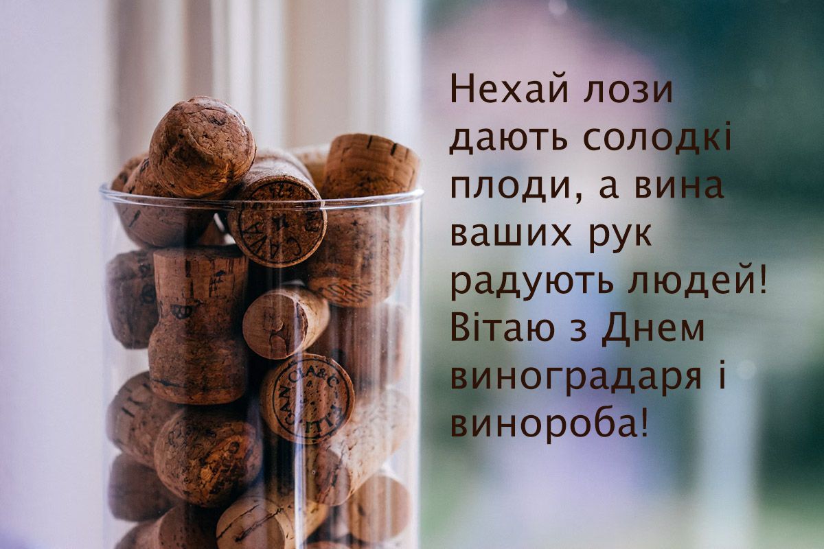 'Пьянящие' поздравления с Днем виноградаря и винодела 2024: красивые картинки и проза - 653902 'Пьянящие' поздравления с Днем виноградаря и винодела 2024: красивые картинки и проза - фото 653902