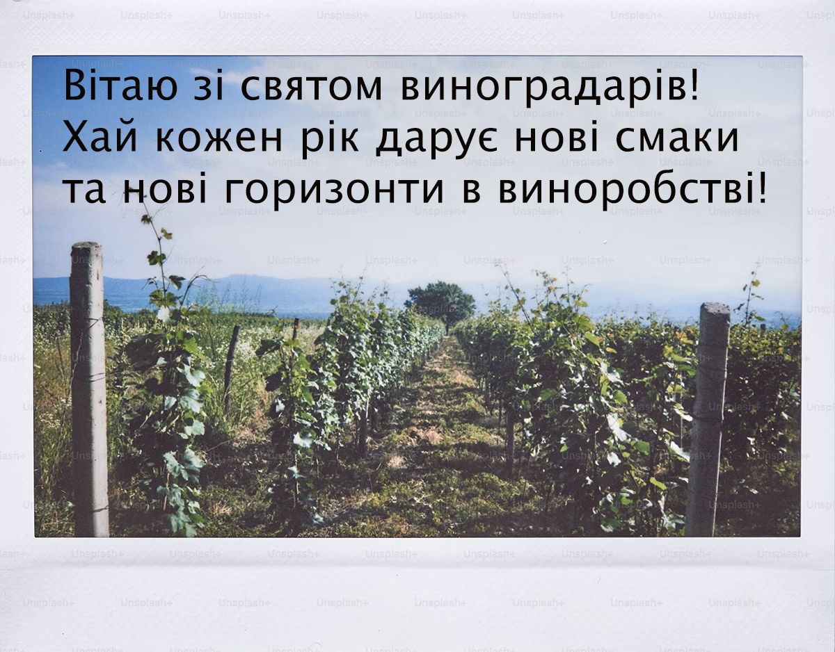 'Пьянящие' поздравления с Днем виноградаря и винодела 2024: красивые картинки и проза - 653903 'Пьянящие' поздравления с Днем виноградаря и винодела 2024: красивые картинки и проза - фото 653903