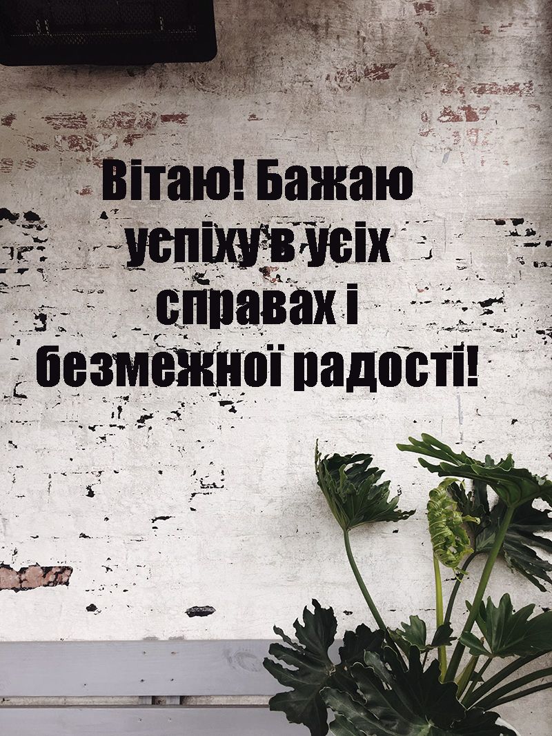 Яркие поздравления с Днем рождения для самых дорогих людей - ну очень интересная подборка - фото 654135