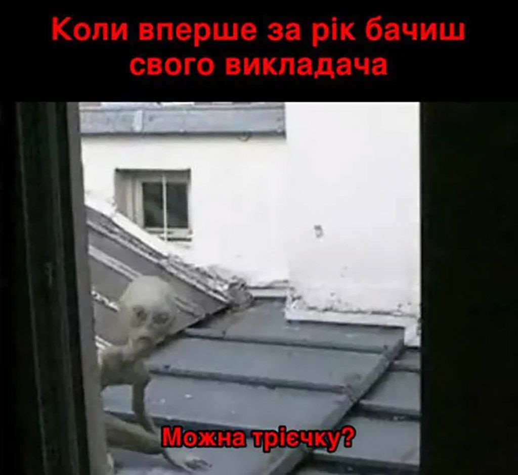 смішні картинки студенти - 655142 смішні картинки студенти - фото 655142
