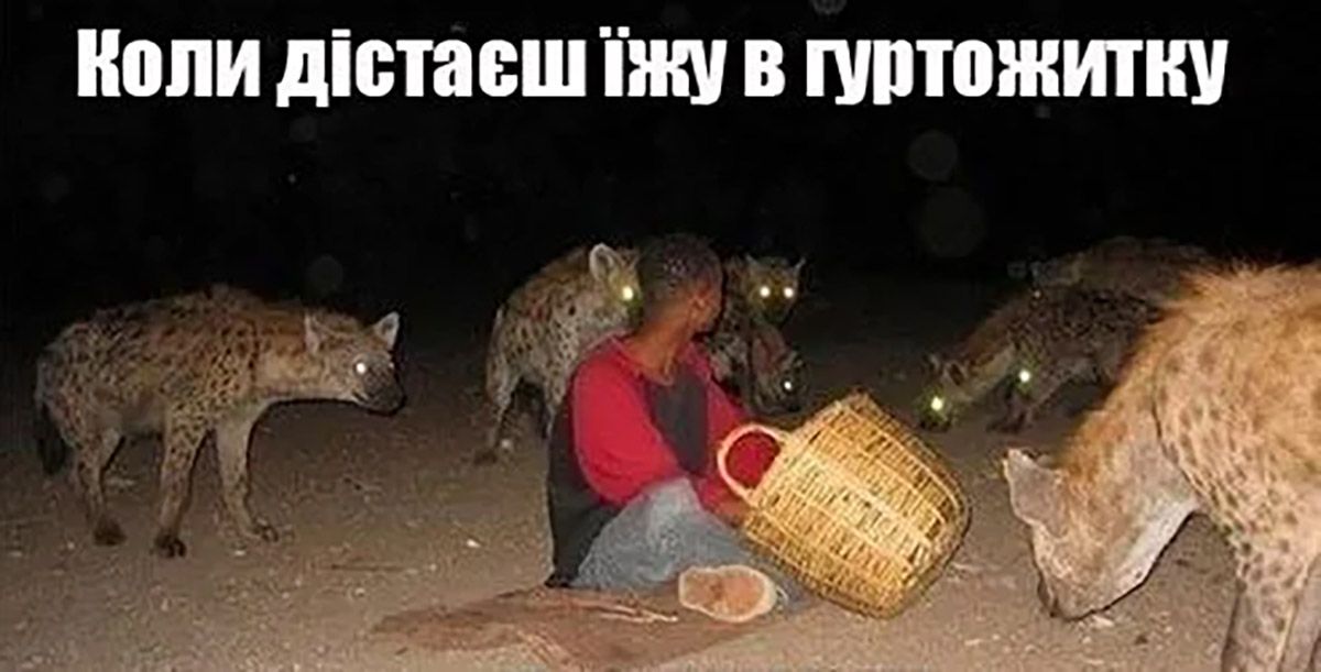 картинки про студентів - 655145 картинки про студентів - фото 655145