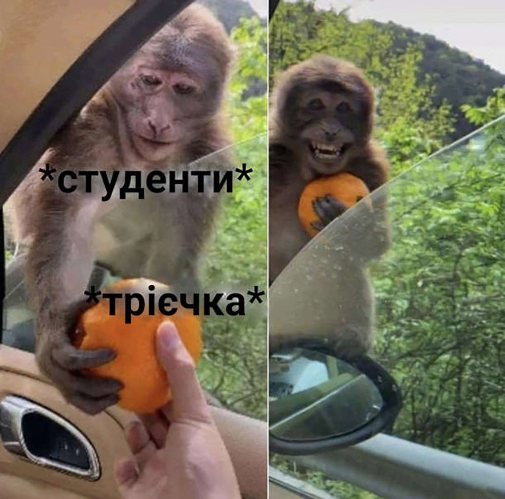 прикольні картинки про студентів - 655154 прикольні картинки про студентів - фото 655154