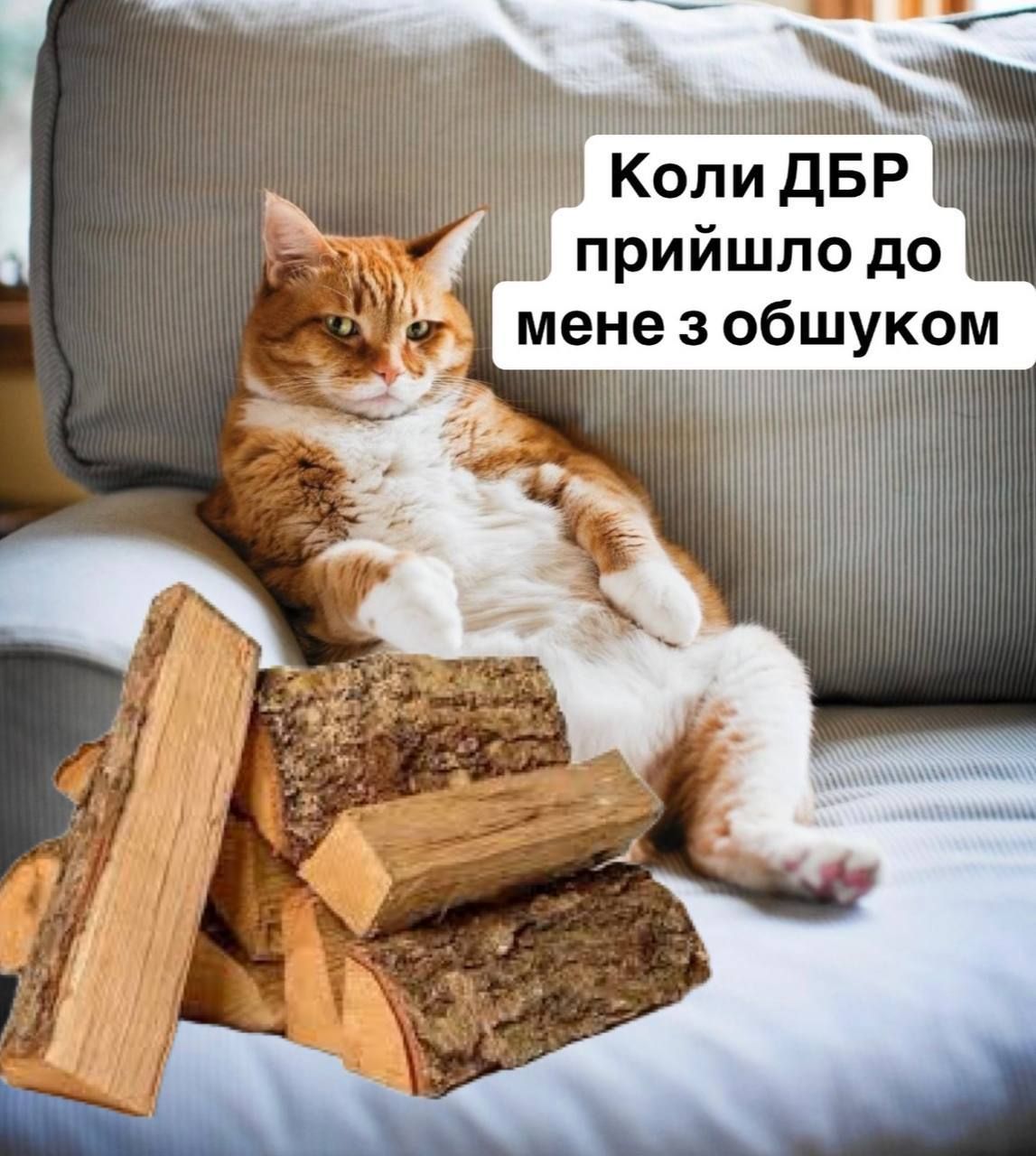 Українці відреагували мемами на закон про дрова - 655944 Українці відреагували мемами на закон про дрова - фото 655944