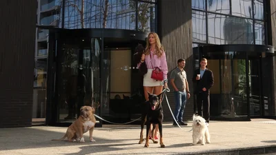 Комедія "Песики" з Нікітюк: завершилися зйомки фільму, де коханці перетворюються на собак