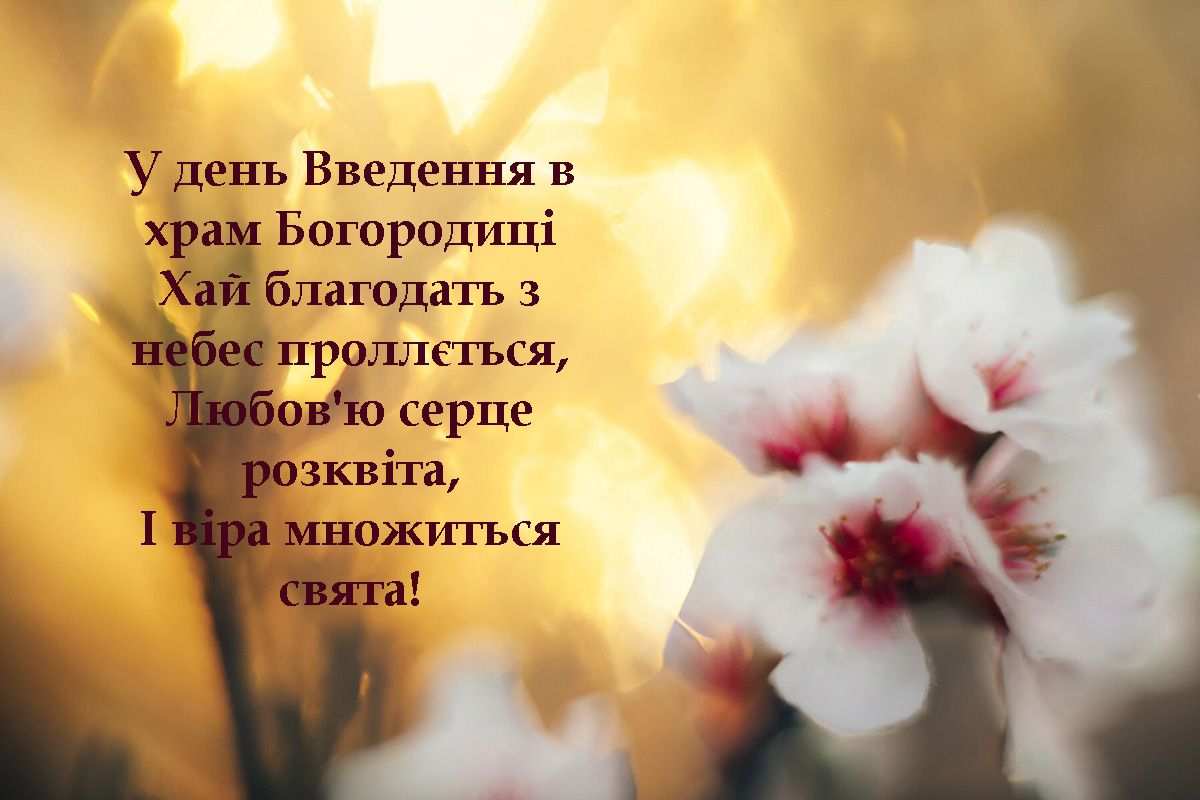 картинки з днем введення в храм Пресвятої Богородиці - 656901 картинки с днем введения во храм Пресвятой Богородицы - фото 656901