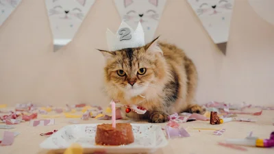 Экспресс-гайд для поздравлений с днем рождения: яркие картинки и короткие стихи