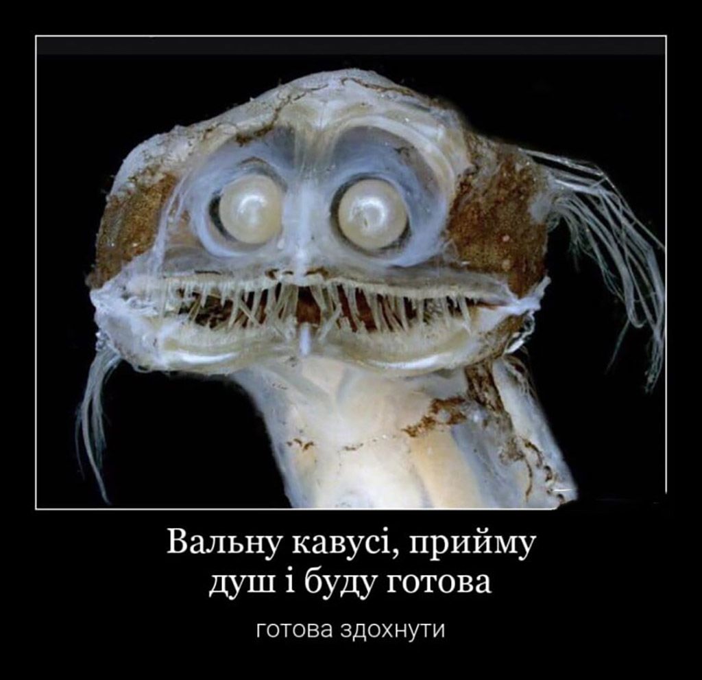 Эти мемы о работе спасут от профессионального выгорания - вот тебе полный список - фото 656964
