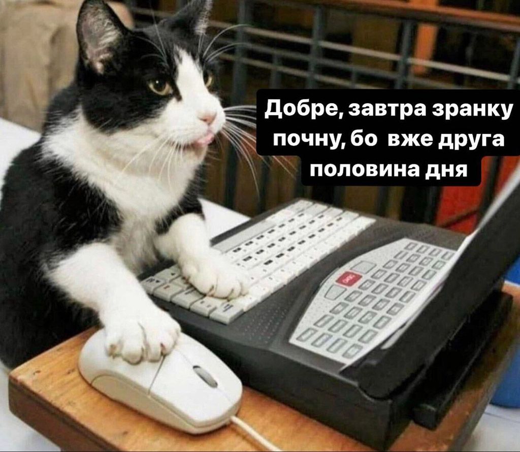 Эти мемы о работе спасут от профессионального выгорания - вот тебе полный список - фото 656974