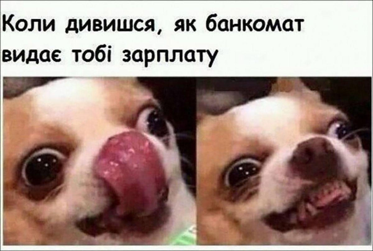Эти мемы о работе спасут от профессионального выгорания - вот тебе полный список - фото 656976