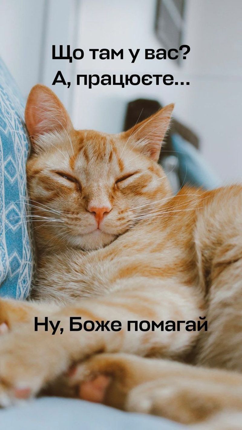 Эти мемы о работе спасут от профессионального выгорания - вот тебе полный список - фото 656977