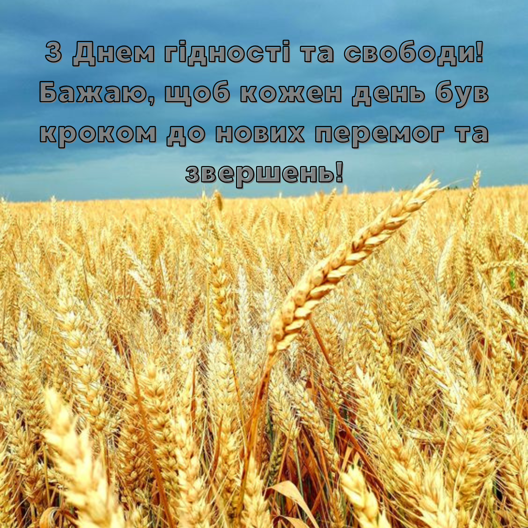 Сила единства: оригинальные открытки с Днем достоинства и свободы - фото 657396