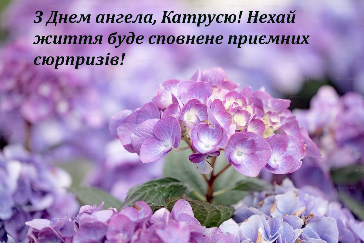 Изысканные поздравления с Днем ангела Екатерины 2024, от которых она расцветет - 658220 Изысканные поздравления с Днем ангела Екатерины 2024, от которых она расцветет - фото 658220
