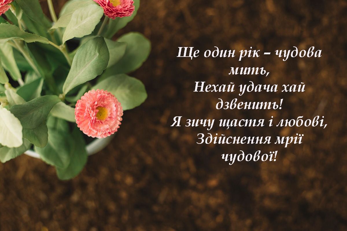 'Букет' для поздравления с Днем рождения: цветочные картинки и красивые стихи, которые меняют жизнь - 659640 'Букет' для поздравления с Днем рождения: цветочные картинки и красивые стихи, которые меняют жизнь - фото 659640