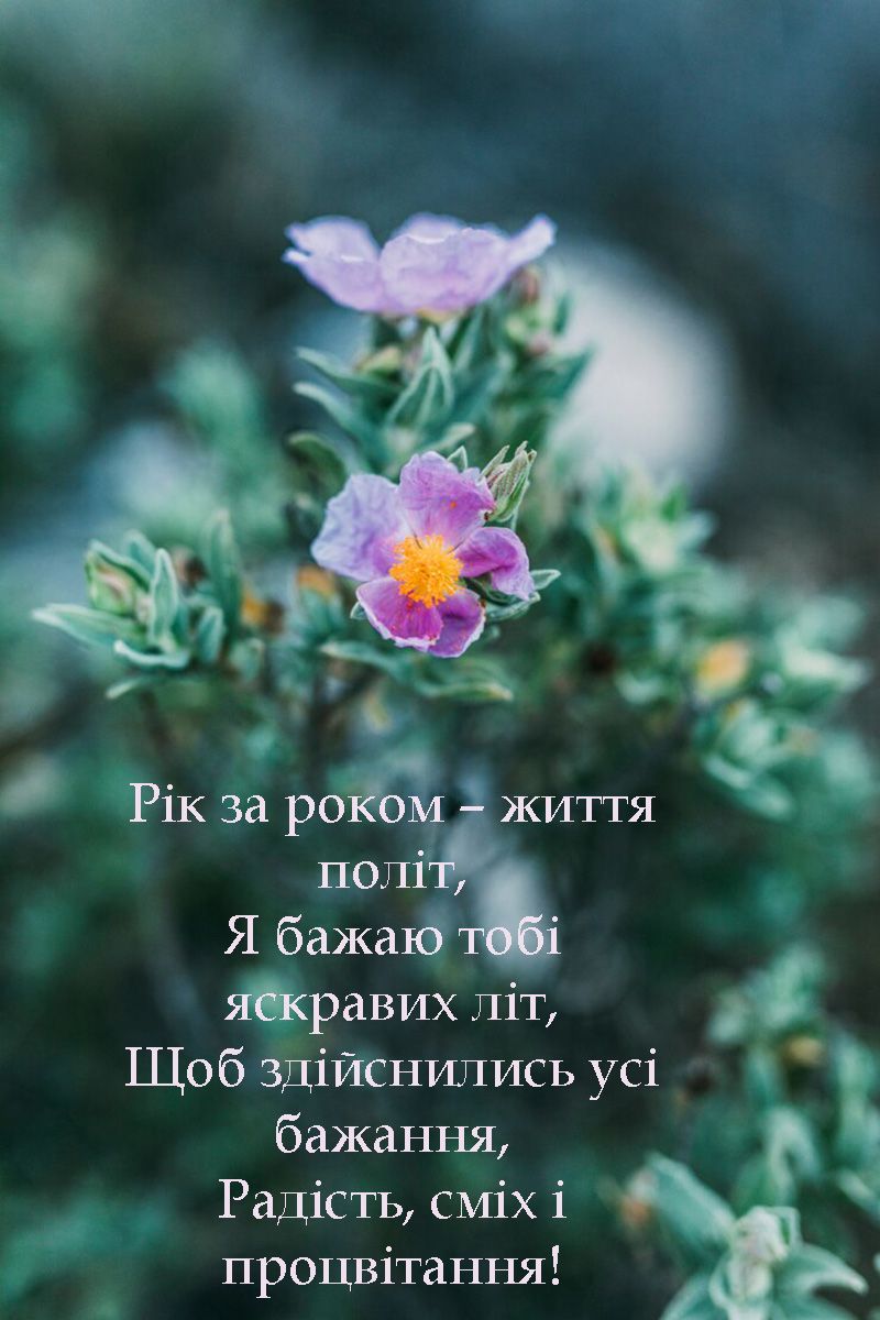 'Букет' для поздравления с Днем рождения: цветочные картинки и красивые стихи, которые меняют жизнь - 659642 'Букет' для поздравления с Днем рождения: цветочные картинки и красивые стихи, которые меняют жизнь - фото 659642