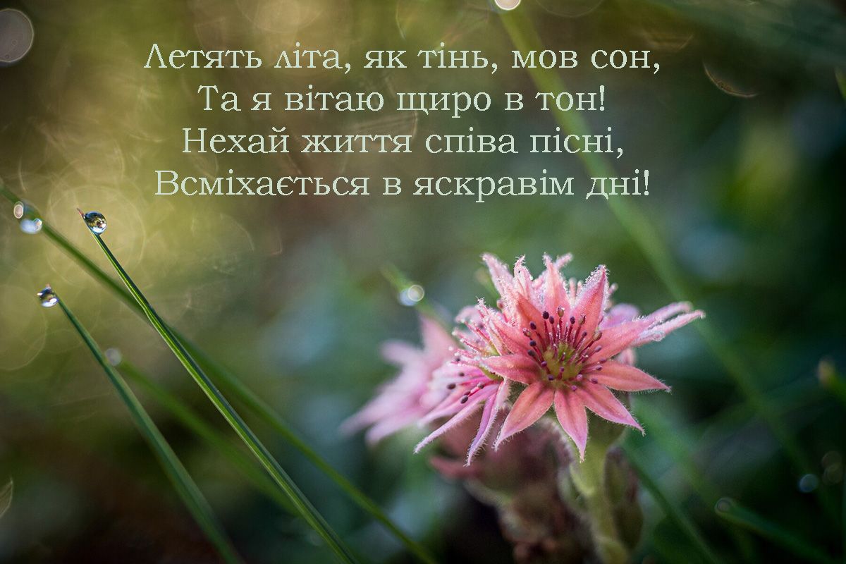 'Букет' для поздравления с Днем рождения: цветочные картинки и красивые стихи, которые меняют жизнь - 659643 'Букет' для поздравления с Днем рождения: цветочные картинки и красивые стихи, которые меняют жизнь - фото 659643