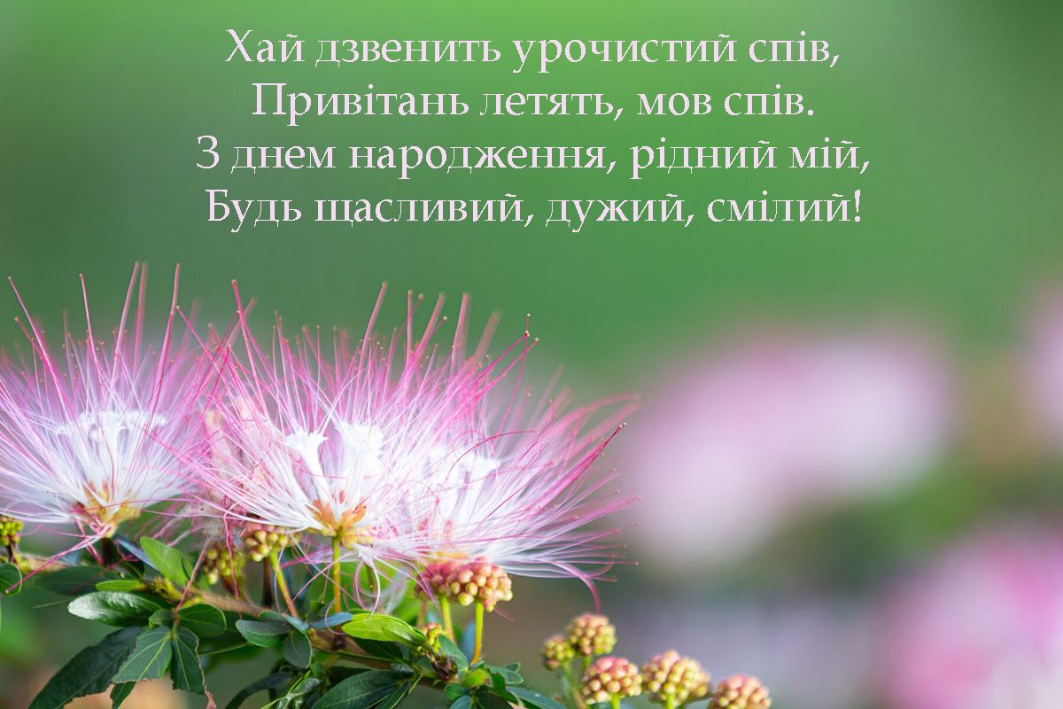 'Букет' для поздравления с Днем рождения: цветочные картинки и красивые стихи, которые меняют жизнь - 659644 'Букет' для поздравления с Днем рождения: цветочные картинки и красивые стихи, которые меняют жизнь - фото 659644