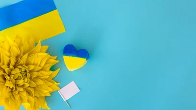 Стали відомі найпоширеніші помилки учнів 6 і 8 класів з української мови