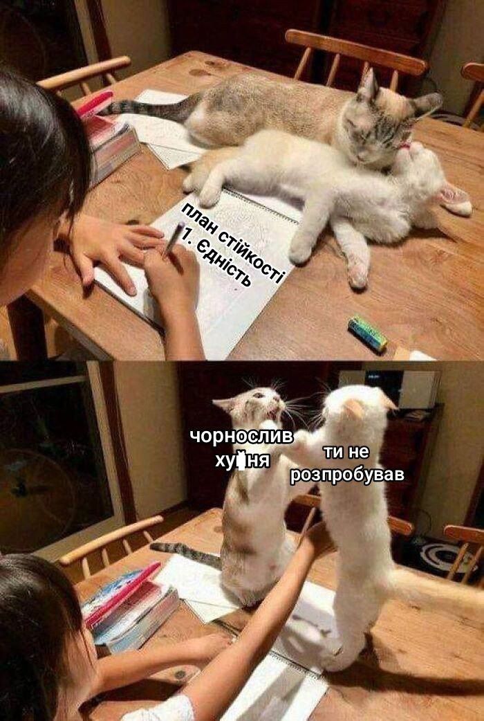Меми про 'план стійкості' Зеленського, в яких українці показали свою реакцію - фото 660231