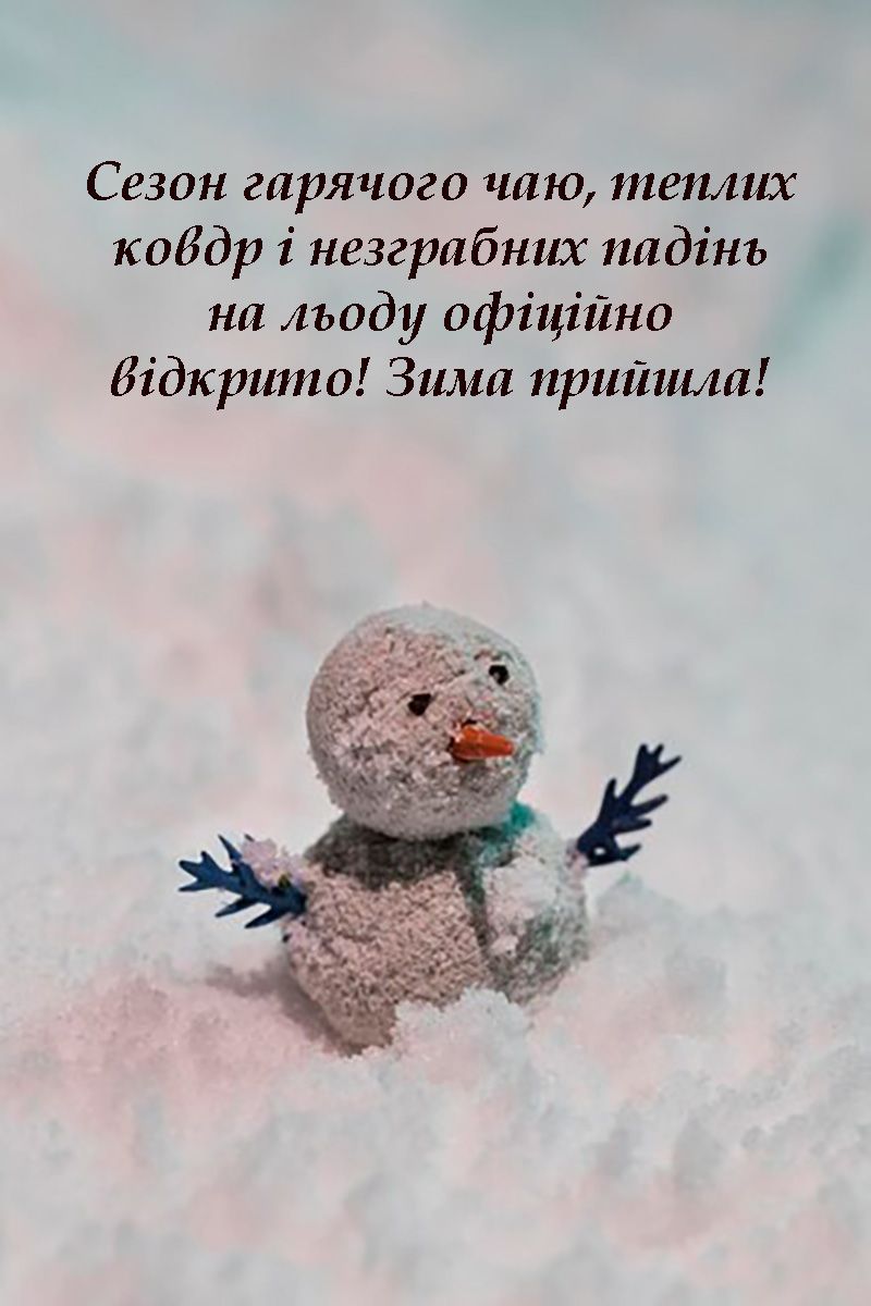 Прикольные поздравления с Первым днем зимы: картинки и слова, которые поднимут настроение 100% - фото 660400