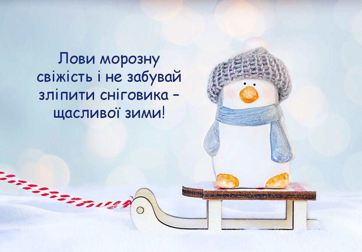 Прикольные поздравления с Первым днем зимы: картинки и слова, которые поднимут настроение 100% - фото 660401