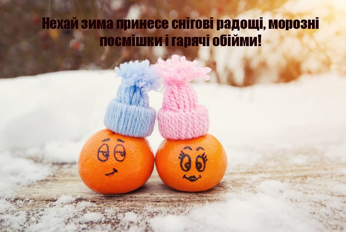 Прикольные поздравления с Первым днем зимы: картинки и слова, которые поднимут настроение 100% - фото 660403