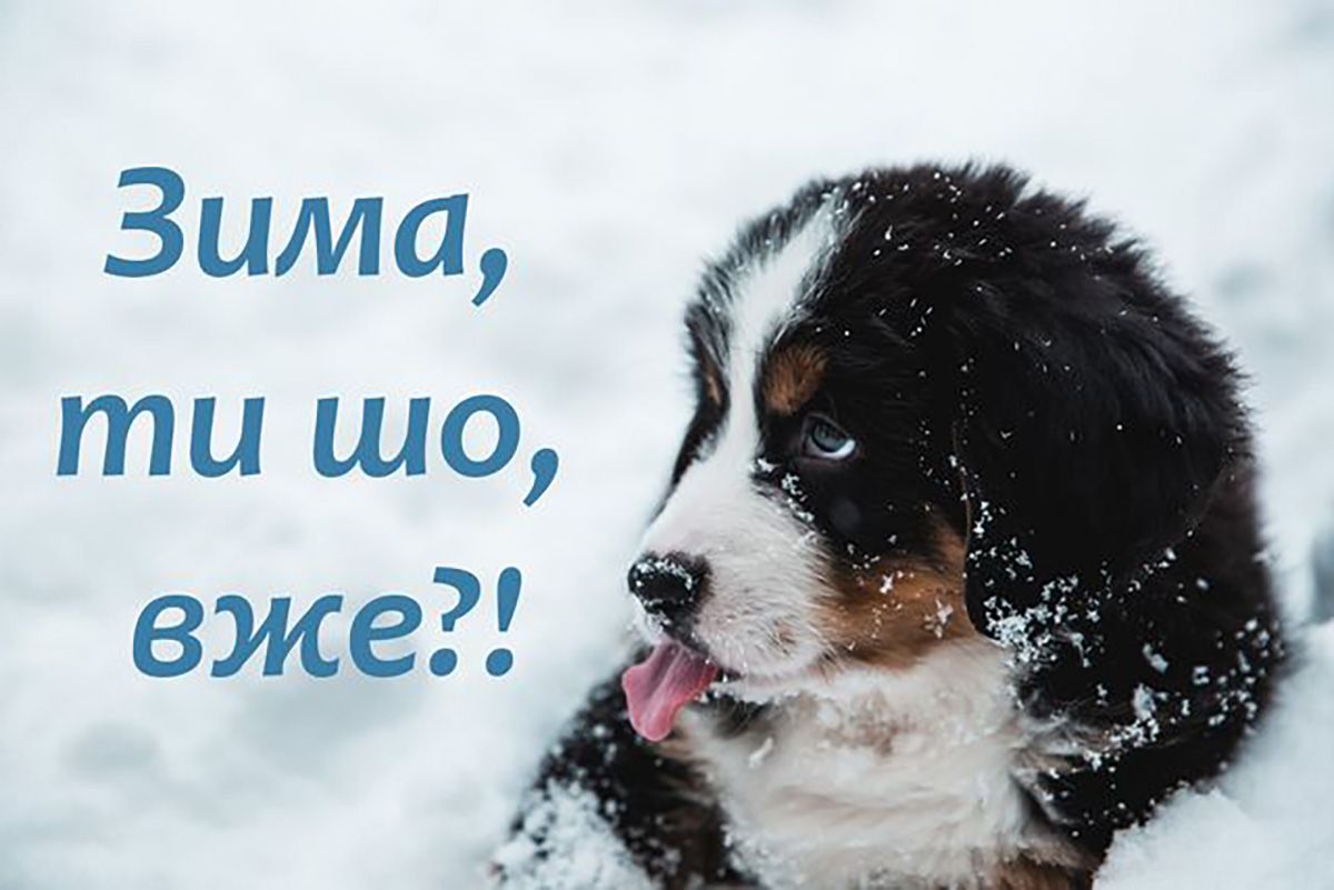Мемы, которые спасут твою 'зимнюю' психику - 660442 Мемы, которые спасут твою 'зимнюю' психику - фото 660442