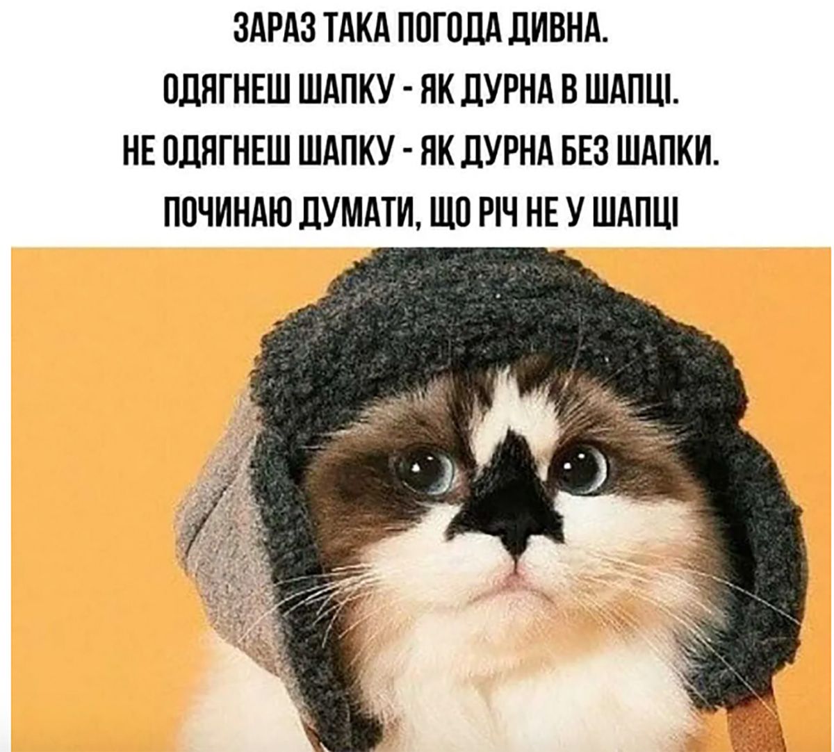 Мемы, которые спасут твою 'зимнюю' психику - 660447 Мемы, которые спасут твою 'зимнюю' психику - фото 660447