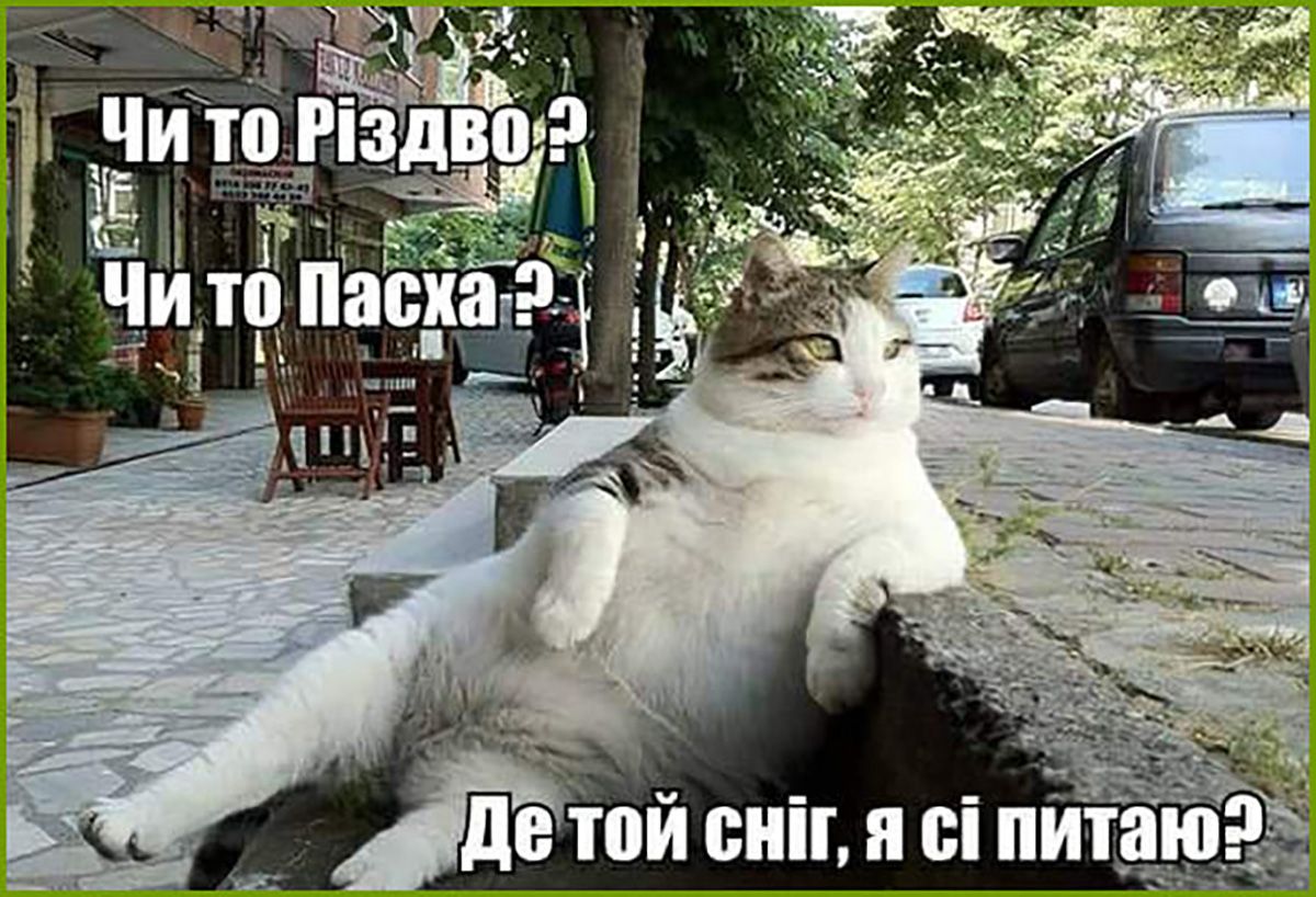 Мемы, которые спасут твою 'зимнюю' психику - 660451 Мемы, которые спасут твою 'зимнюю' психику - фото 660451