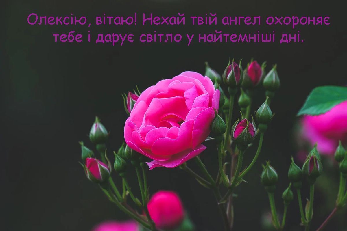 Особые поздравления с Днем ангела Алексея 2024: картинки и проза, которая наполнит сердце любовью - фото 661191