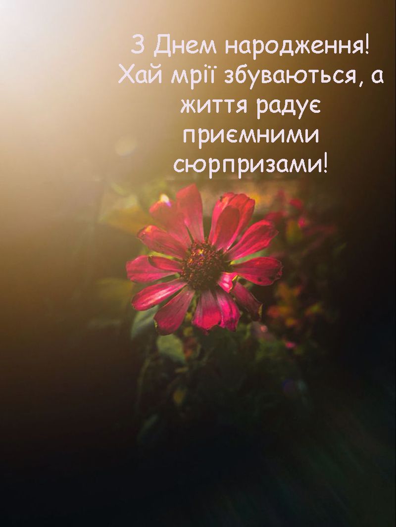 Зимние поздравления с Днем рождения: картинки и проза, от которых защемит сердце - 661201 Зимние поздравления с Днем рождения: картинки и проза, от которых защемит сердце - фото 661201