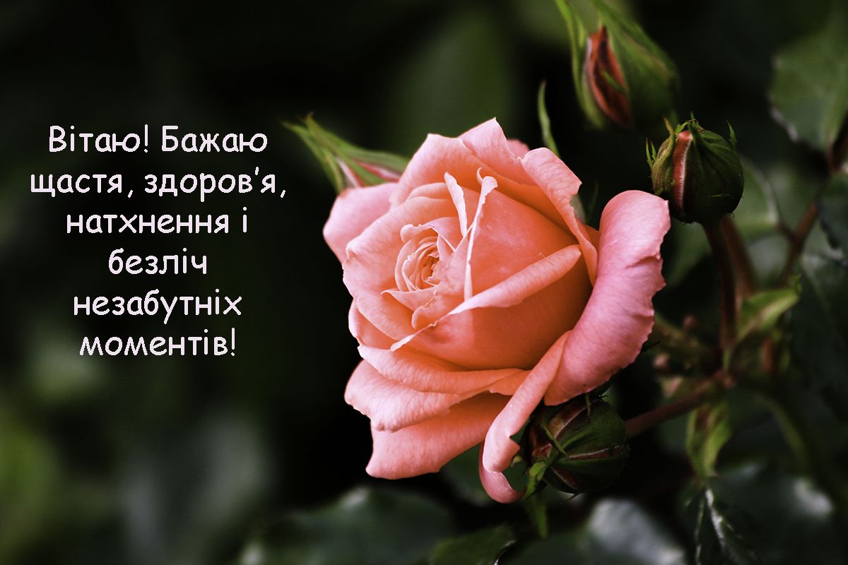 Зимние поздравления с Днем рождения: картинки и проза, от которых защемит сердце - 661207 Зимние поздравления с Днем рождения: картинки и проза, от которых защемит сердце - фото 661207