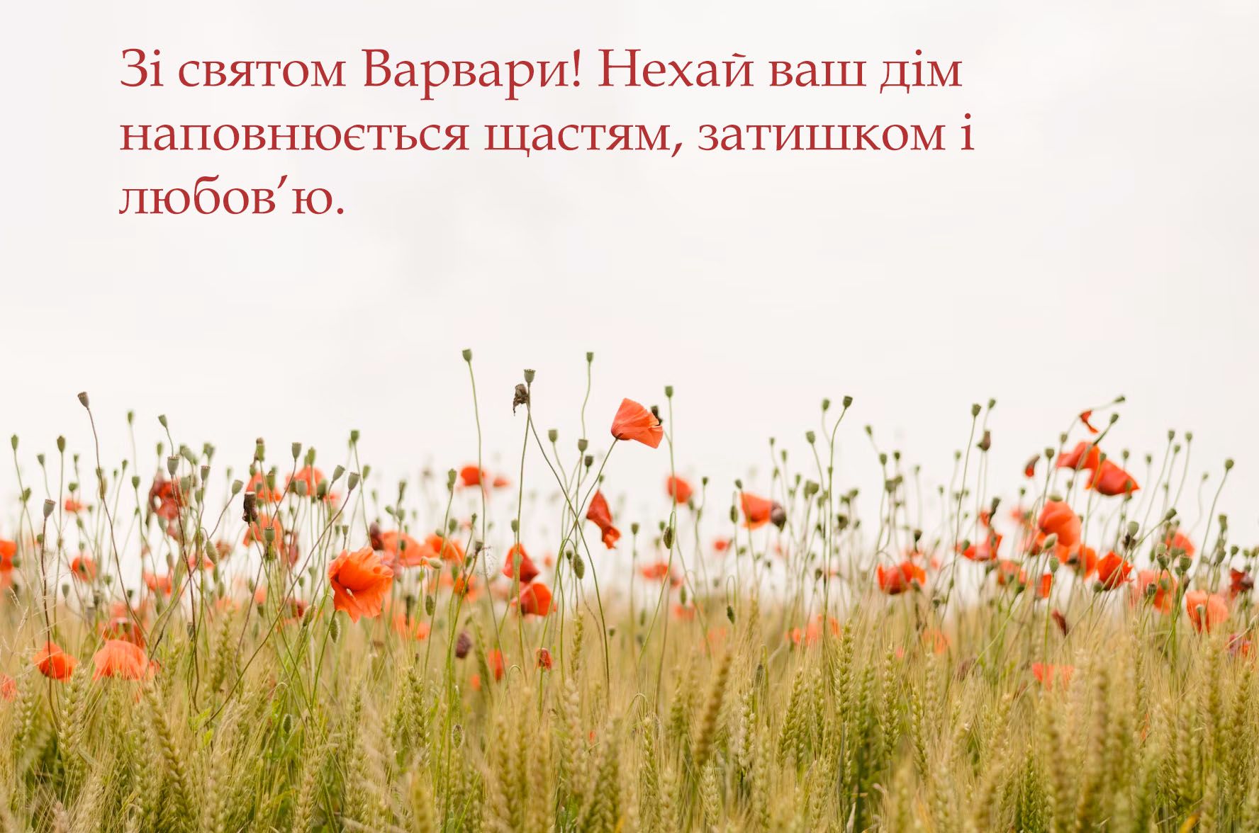 Трогательные поздравления с днем Варвары 2024 - особенные картинки, передающие всю глубину заботы и любви - фото 661664