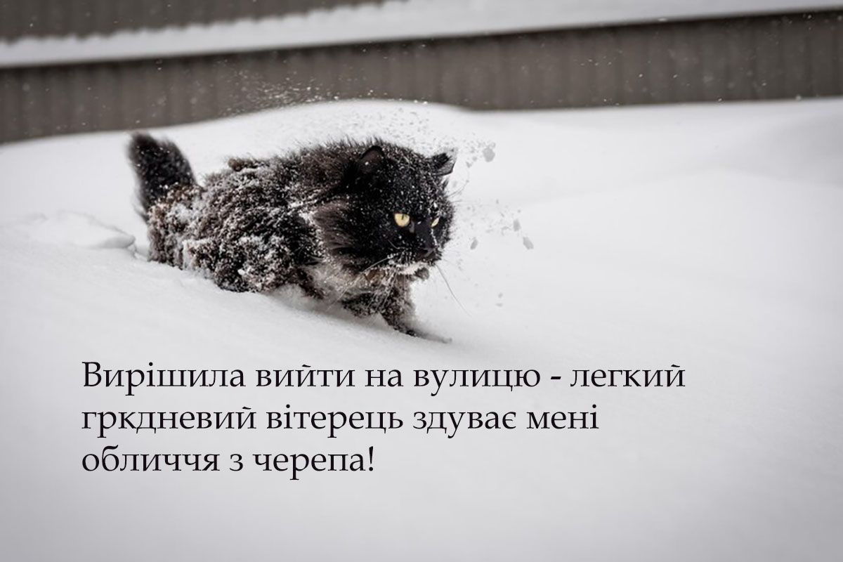 Мемы, которые растопят даже самую суровую зиму - смешная подборка - 662220 Мемы, которые растопят даже самую суровую зиму - смешная подборка - фото 662220