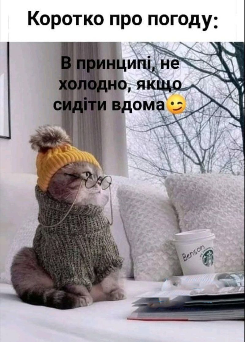 Мемы, которые растопят даже самую суровую зиму - смешная подборка - 662224 Мемы, которые растопят даже самую суровую зиму - смешная подборка - фото 662224