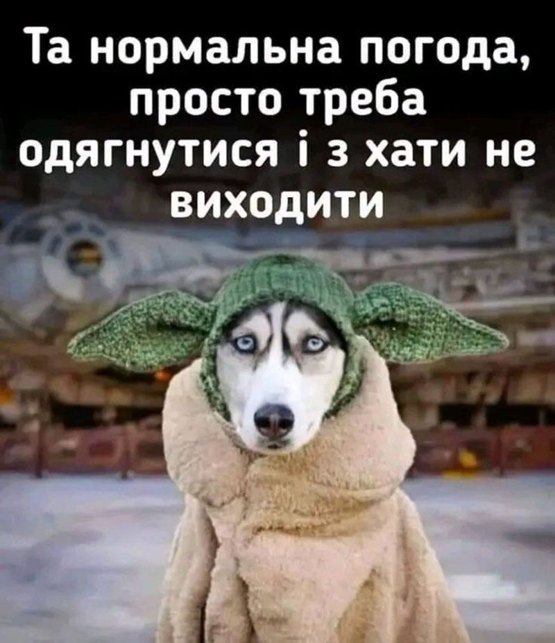 Мемы, которые растопят даже самую суровую зиму - смешная подборка - 662225 Мемы, которые растопят даже самую суровую зиму - смешная подборка - фото 662225