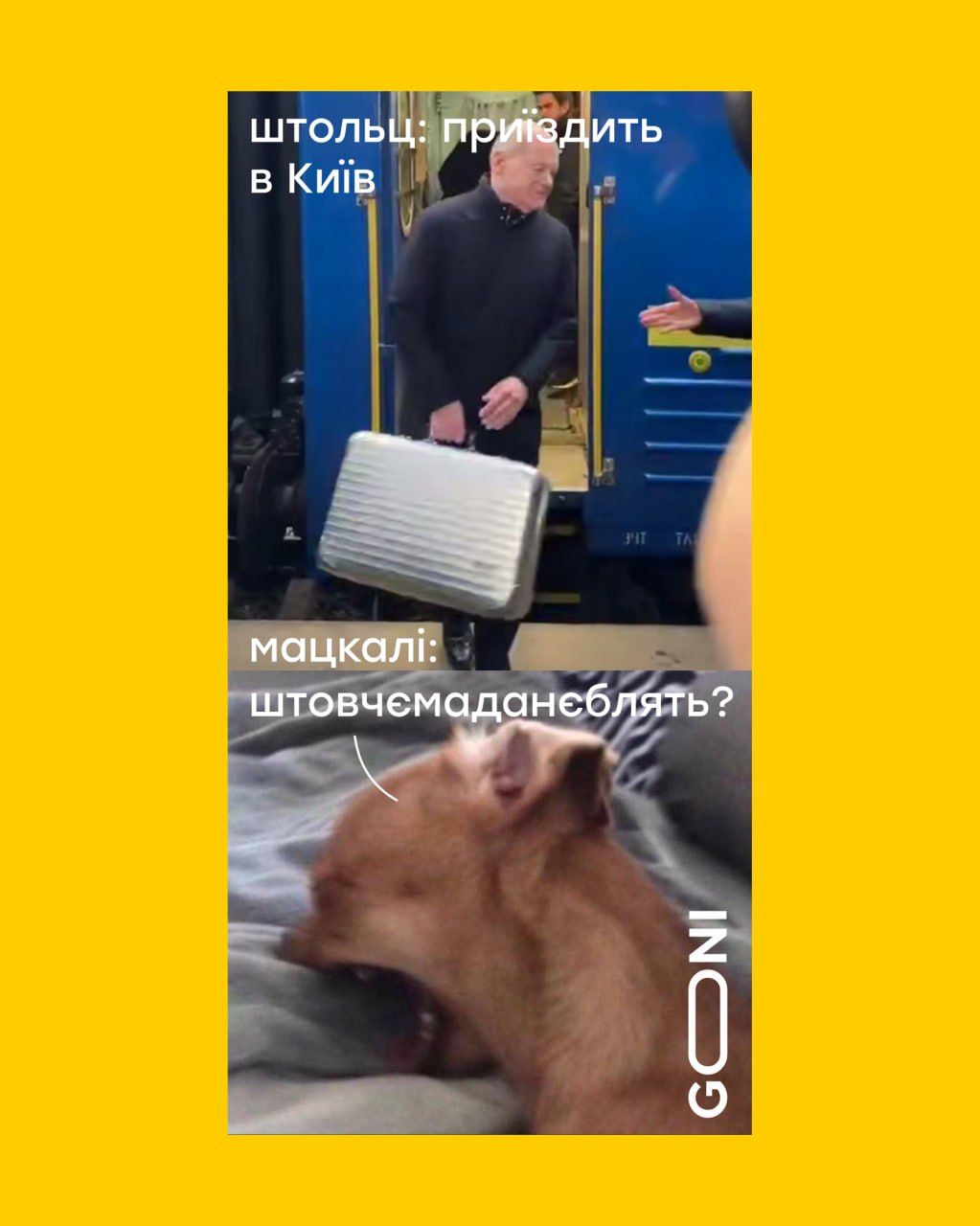 Что в чемодане Шольца: смотри мемы о визите канцлера Германии в Киев - фото 663397