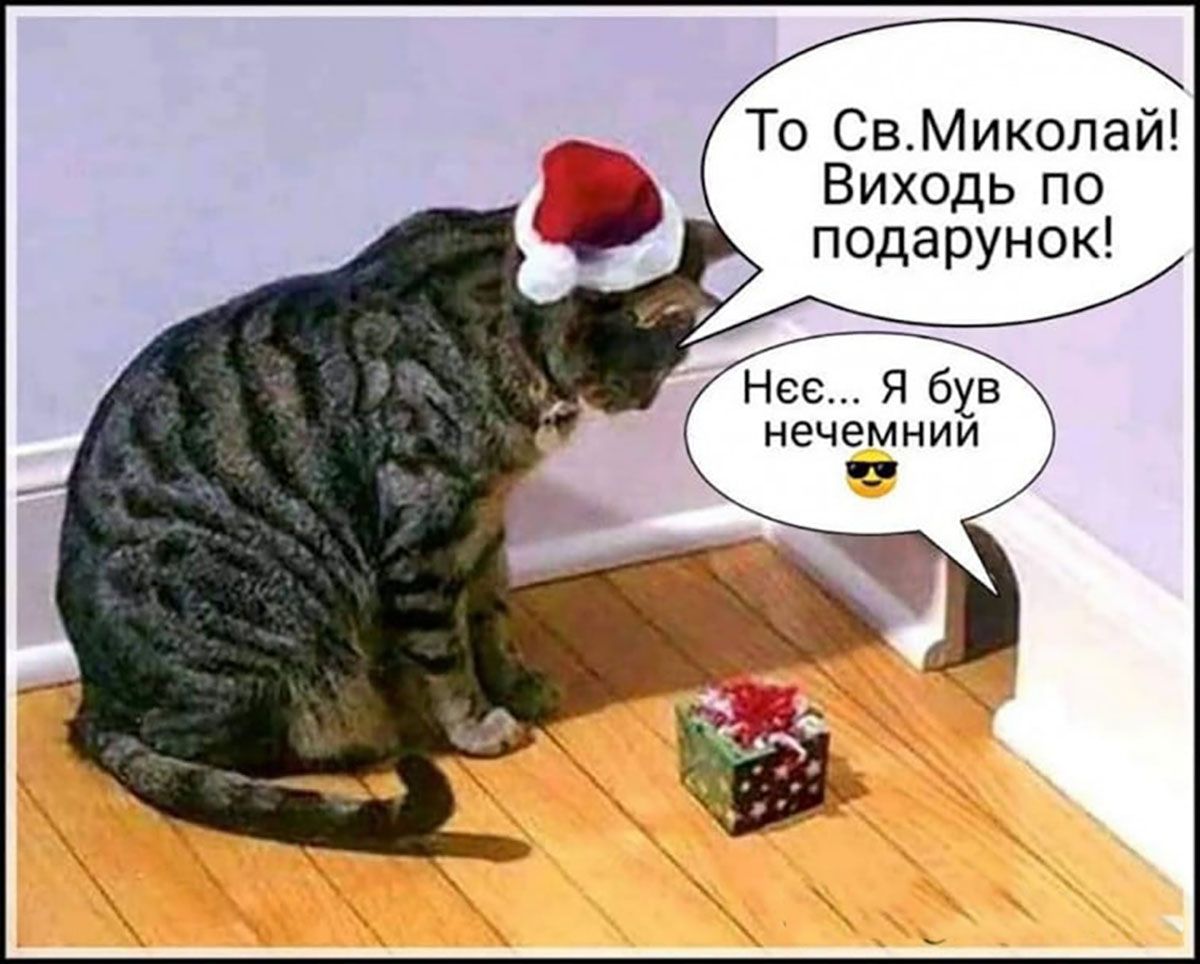 Мемы ко Дню святого Николая, чтобы поднять себе настроение - большая подборка приколов - 663810 Мемы ко Дню святого Николая, чтобы поднять себе настроение - большая подборка приколов - фото 663810
