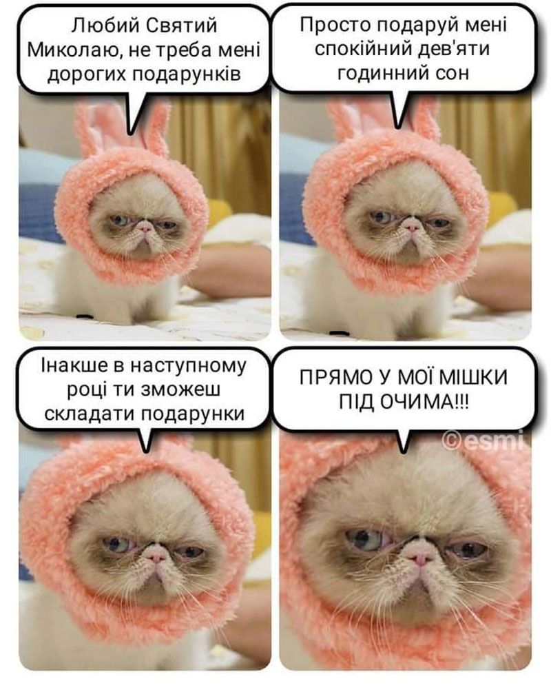 Мемы ко Дню святого Николая, чтобы поднять себе настроение - большая подборка приколов - 663813 Мемы ко Дню святого Николая, чтобы поднять себе настроение - большая подборка приколов - фото 663813